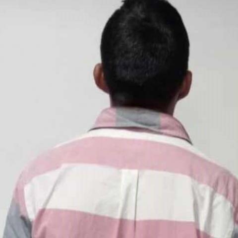 distribuidor