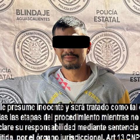distribuidor