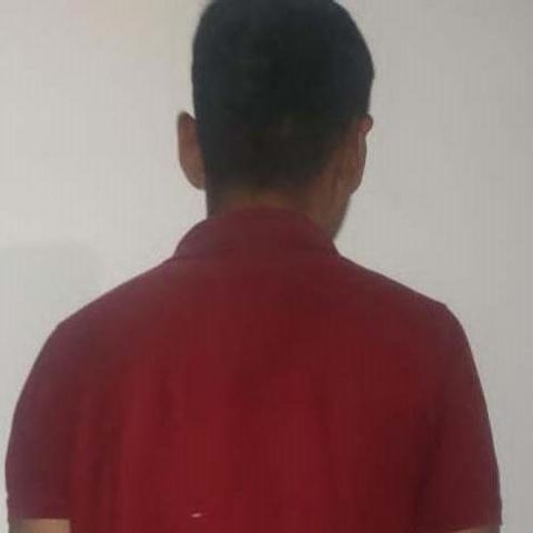 distribuidor