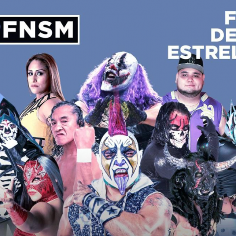 lucha libre foro de las estrellas