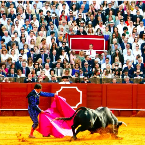 Corrida de toros