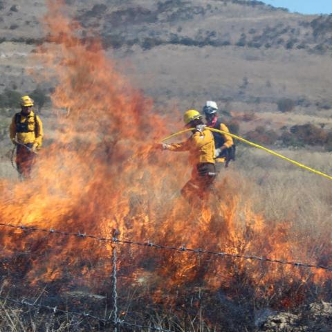 Conafor Aguascalientes: solo 16 combatientes y sin equipo para combatir incendios forestales