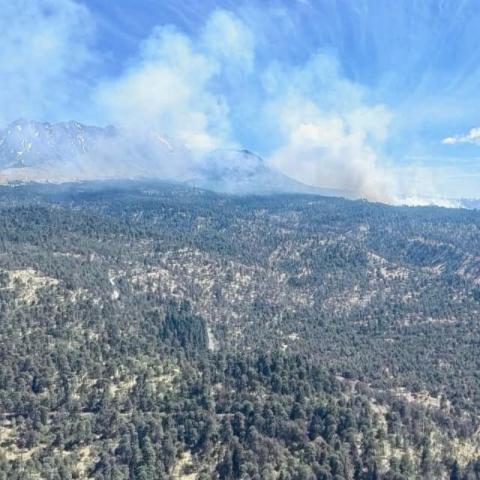 Desde la tarde del domingo y hasta el miércoles, se registró un incendio forestal que afectó campos.