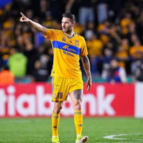 GIGNAC TIGRES