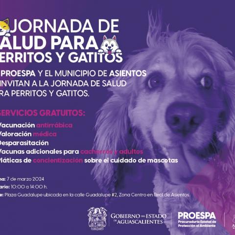 Este jueves Proespa llevará servicios veterinarios gratuitos a Asientos 