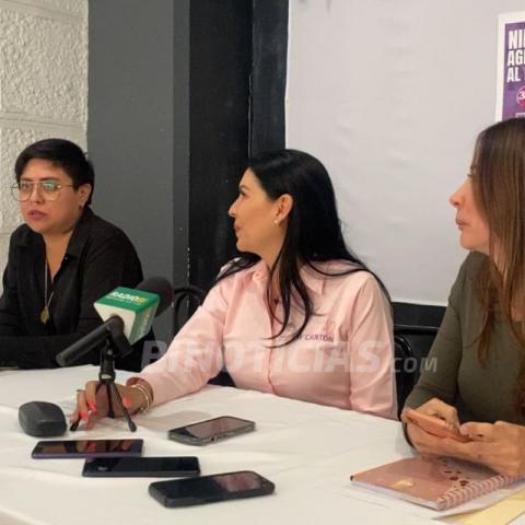 Miembros del Observatorio Social para la Implementación de la Ley 3 de 3 Aguascalientes