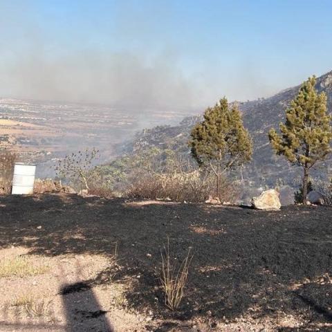 Sequía detona incendios en Aguascalientes. Cerro del Muerto y de los Gallos, los más afectados