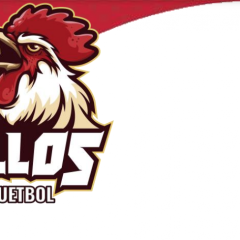 GALLOS CIBAPAC