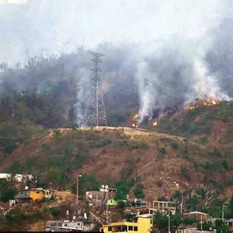 Más de mil brigadistas siguen luchando contra incendios en Acapulco, Guerrero