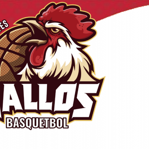 GALLOS BASKETBALL