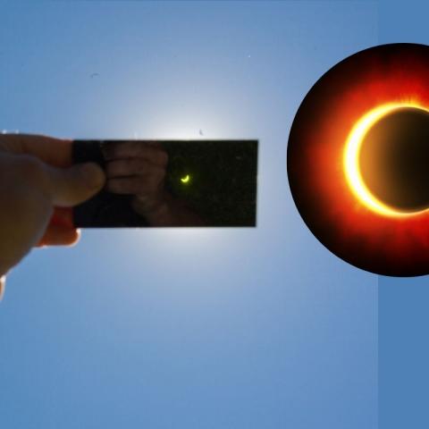 ¡Bajo la oscuridad! Asi se vivió el Eclipse Solar del 2024 
