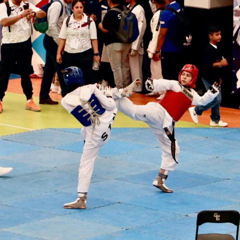 Copa JDK de Taekwondo