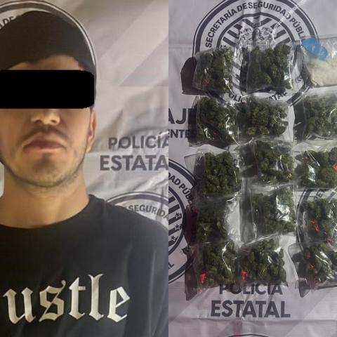 distribuidor