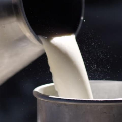 Impulsan venta de leche local por un valor de 10 pesos