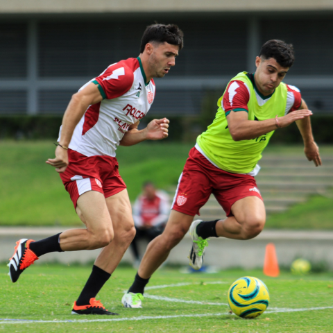Necaxa