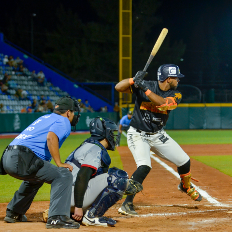 Sultanes 16-4 Rieleros