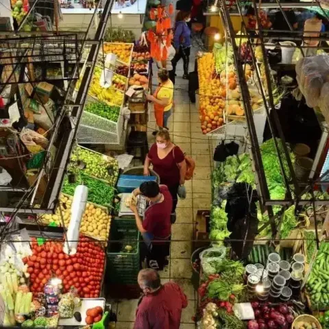 La lechuga, la col y el chile serrano, aumentaron su precio, además del transporte público.