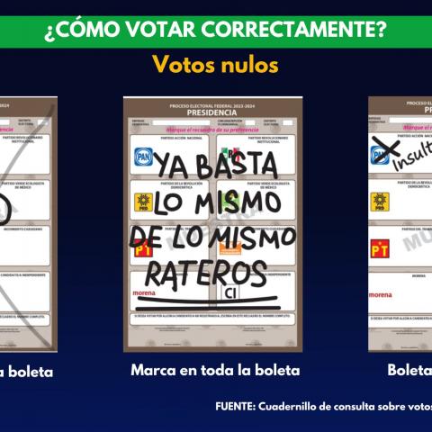 Simulador de voto ¿Cómo evitar que anulen tu boleta?