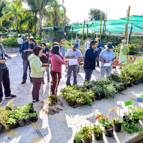 Todos los jueves puedes acudir al Vivero Municipal para la donación de árboles 