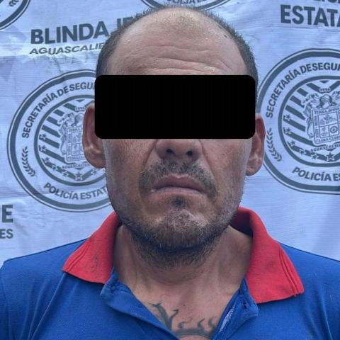distribuidor