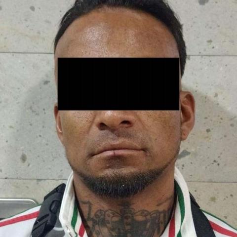 distribuidor