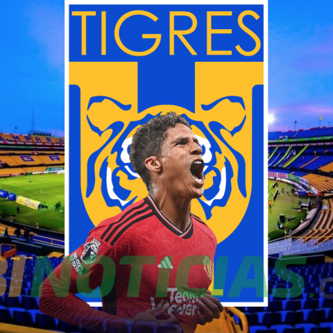 RAPHAEL VARANE TIGRES