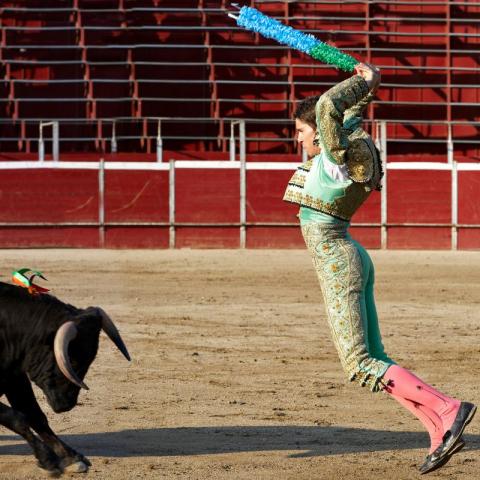 ¡Otra vez!, suspenden temporalmente las corridas de toros en CDMX 