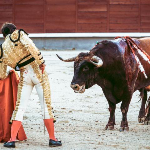 También abarca otros eventos con becerros y vaquillas.