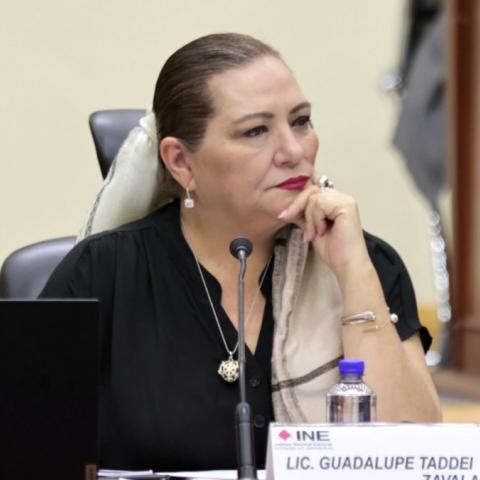 Taddei: Ley electoral no contempla “declinaciones” ni “transferencias” de votos