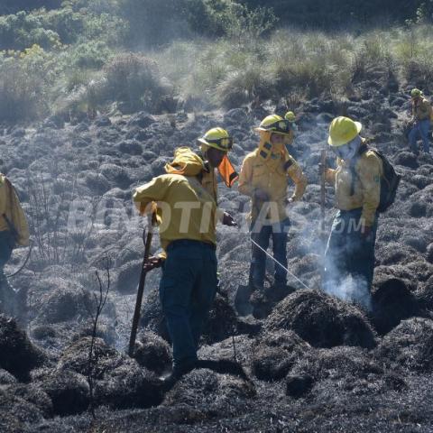 Se extiende la lucha por apagar los incendios forestales en todo el país