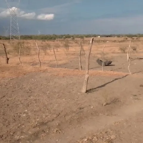 Más de un tercio del país está en sequía