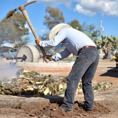 Aguascalientes apoyará a campesinos por cierre de tribunal agrícola