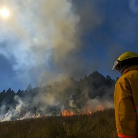 Incendios en michoacán