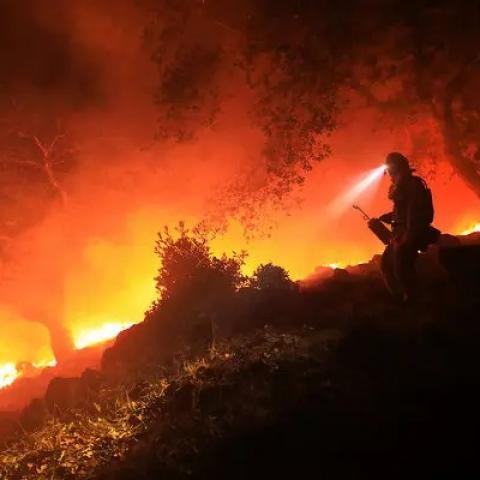 Se extienden incendios forestales en México hasta un récord de 185 activos