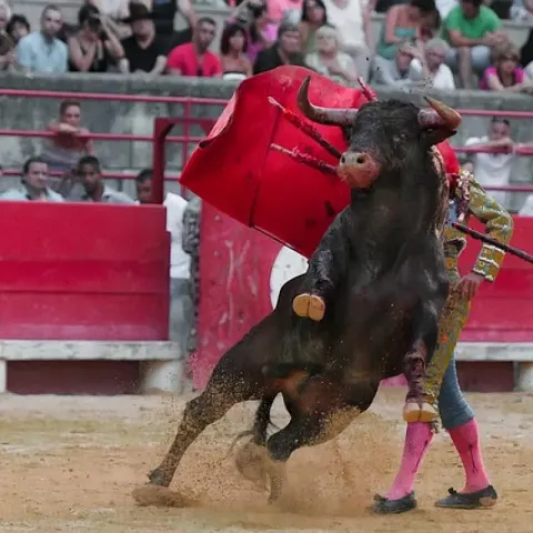 Revocan suspensión de corridas de toros en la Plaza México… Una vez más