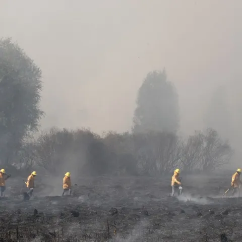 El fuego avanza y amenaza a manglares