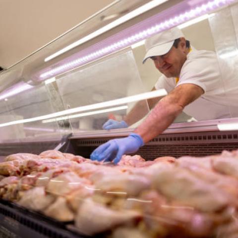 Existe competencia desleal por importación de carne no regulada