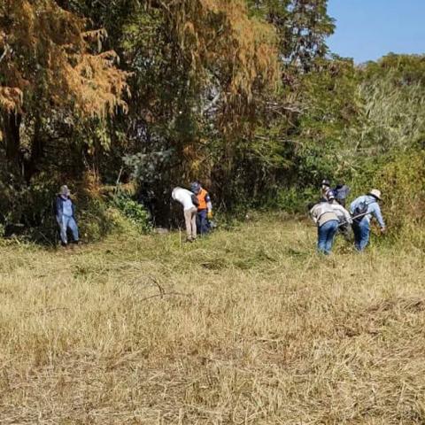 Encuentran 21 cuerpos en fosa clandestina en Abasolo, Guanajuato