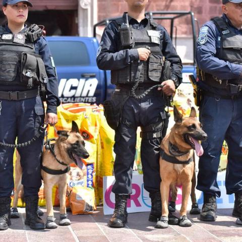 Diez perros se unirán a la Policía Estatal de Aguascalientes