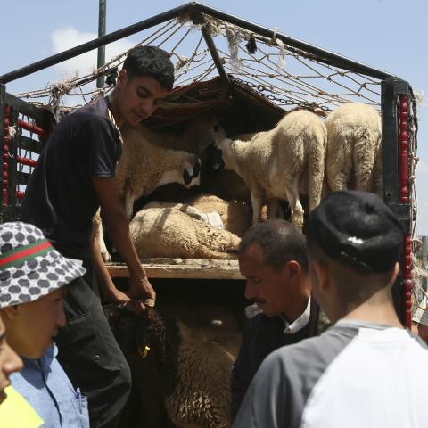 Grupo armado en Pakistán anuncia alto al fuego durante día feriado