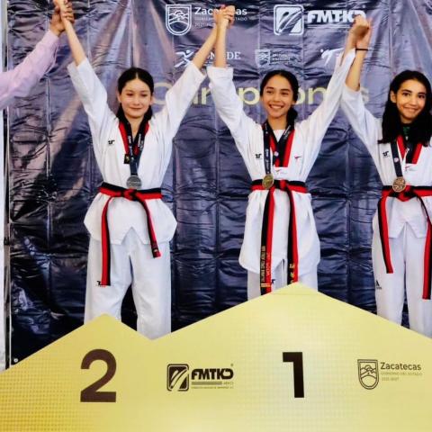 Aguascalientes Taekwondo