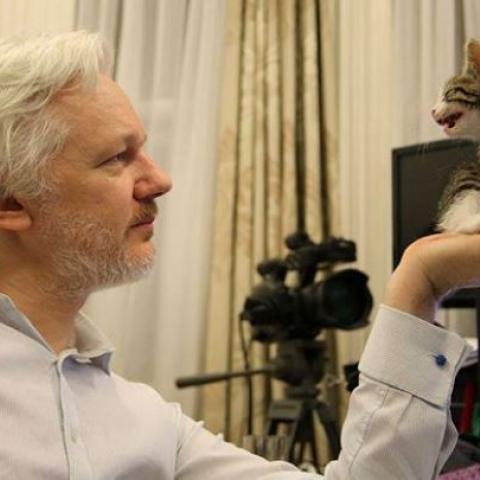 Julian Assange