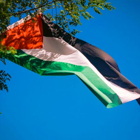 Bandera de Palestina 