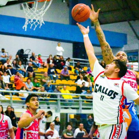 GALLOS VS ESCUDEROS CIBAPAC