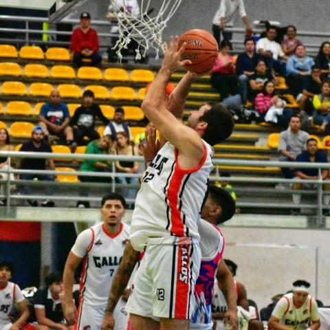 GALLOS VS ESCUDEROS CIBAPAC