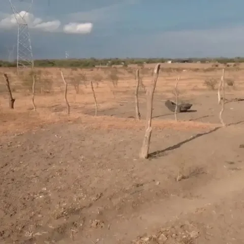 Se eleva sequía a 89.5% del país por falta de lluvias