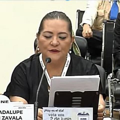 Guadalupe Taddei Zavala 