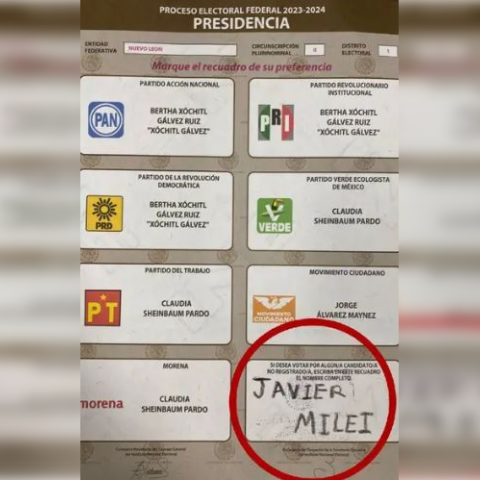 Voto por Milei 