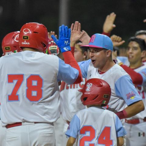 Copa Mundial de Softbol WBSC