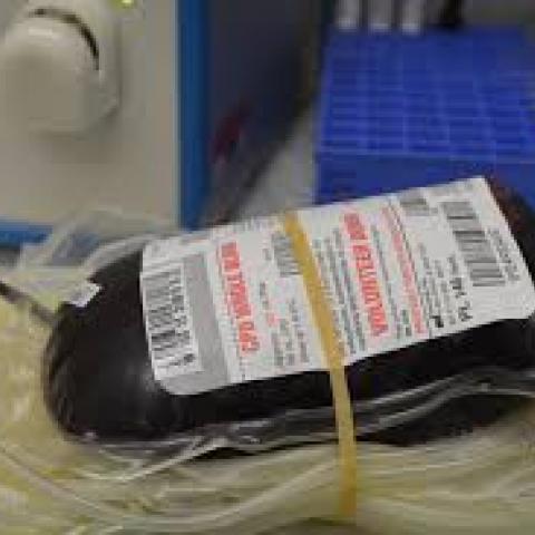 Donación de sangre